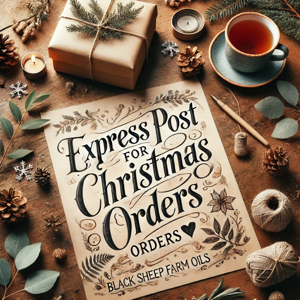 Express Post for Christmas