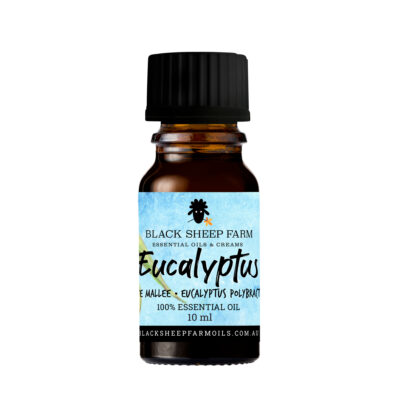 Eucalyptus Oil (Blue Mallee) - 100% Essential Oil